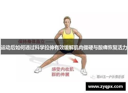 运动后如何通过科学拉伸有效缓解肌肉僵硬与酸痛恢复活力